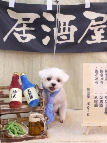 20240622マルちゃん